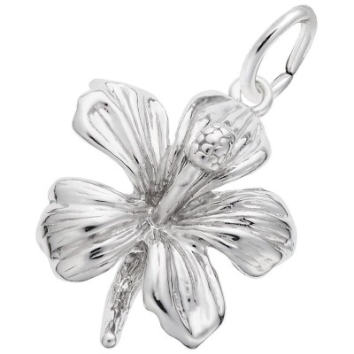 https://www.sachsjewelers.com/upload/product/6528-Silver-Hibiscus-RC.jpg