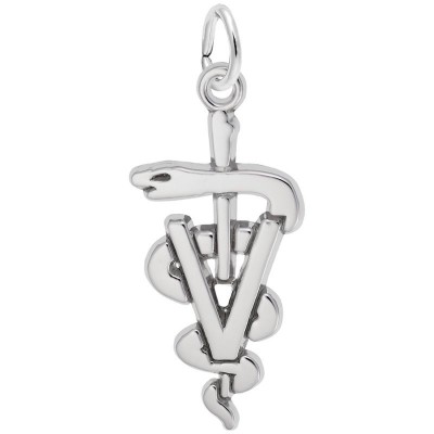 https://www.sachsjewelers.com/upload/product/7934-Silver-Veterinarian-RC.jpg