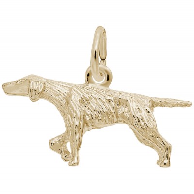 Pointer