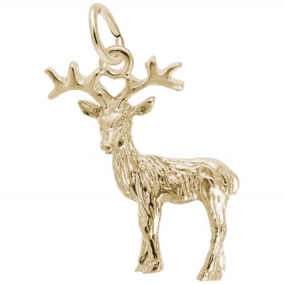 Reindeer