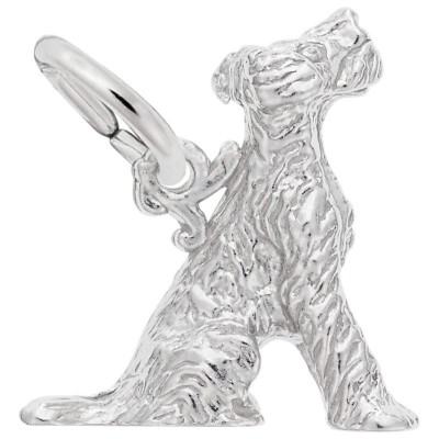 Terrier