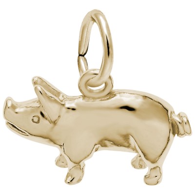 Pig