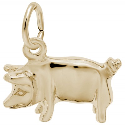 Pig