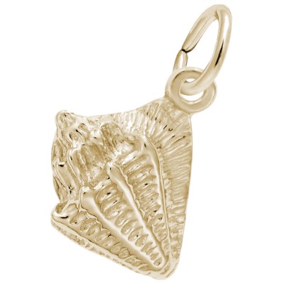 Conch Shell