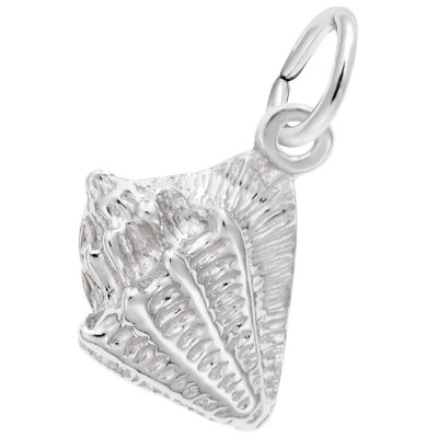 Conch Shell