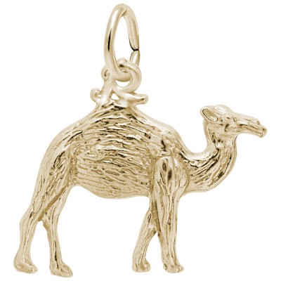 Camel