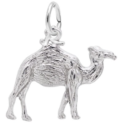 Camel