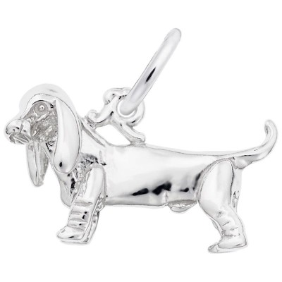 Basset Hound