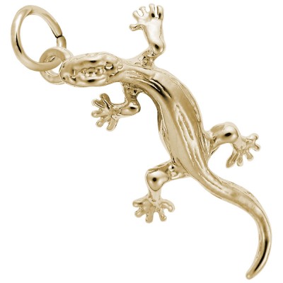 Lizard