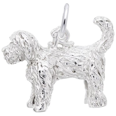 Labradoodle