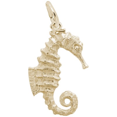Seahorse