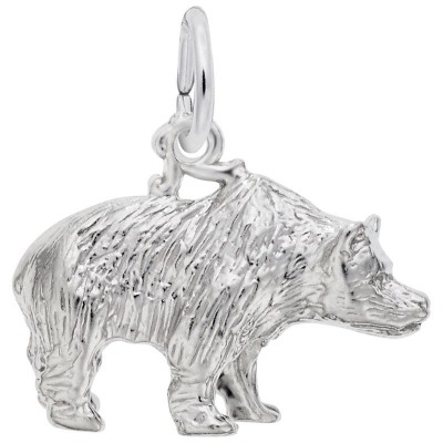 Grizzly Bear