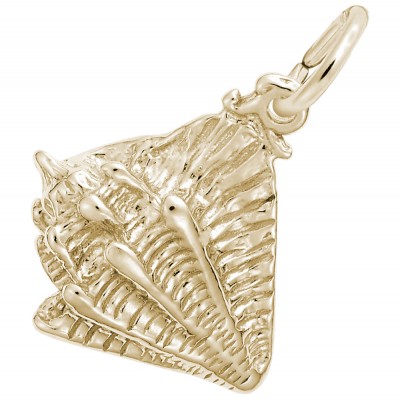 Conch Shell