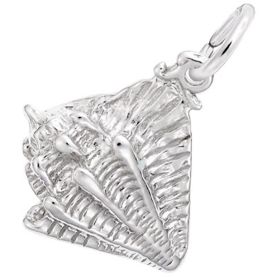 Conch Shell