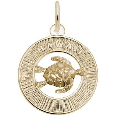 Hawaii W/Turtle