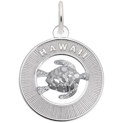 Hawaii W/Turtle