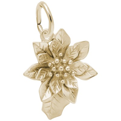 Poinsettia