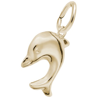Dolphin