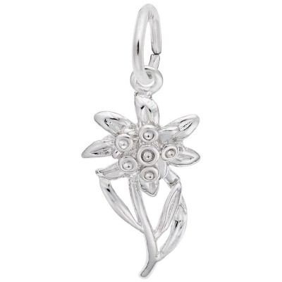 Edelweiss