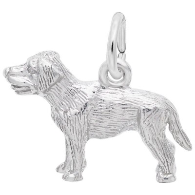 Labrador