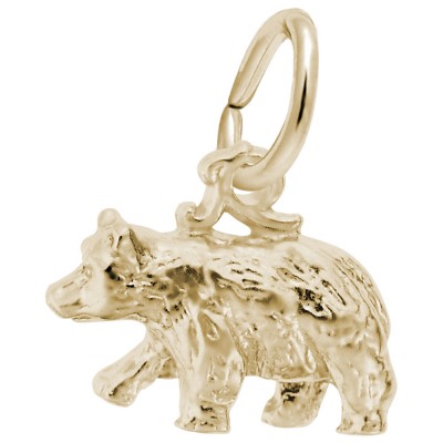 Black Bear Small