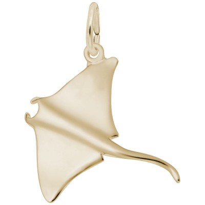 Manta Ray
