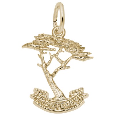 Monterey Cypress