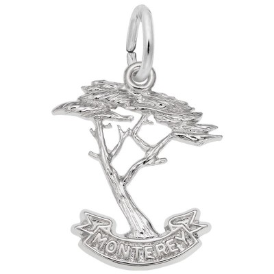 Monterey Cypress