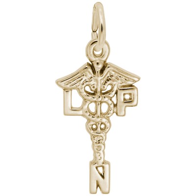 Licensed Practical Nurse