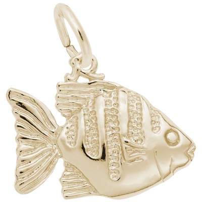 Angelfish