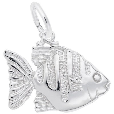 Angelfish
