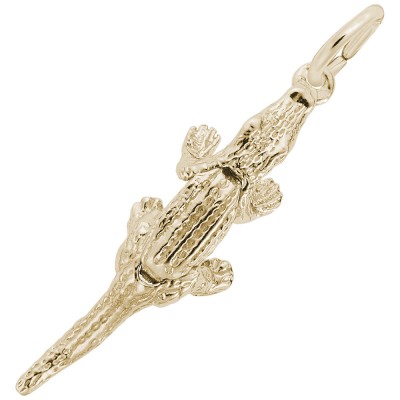 Alligator