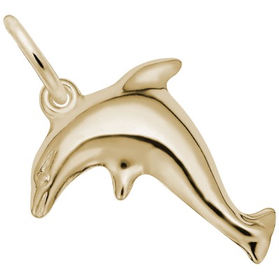 Dolphin