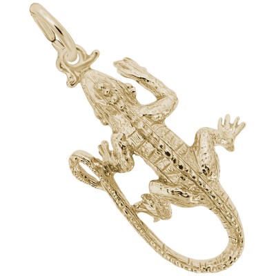 Iguana