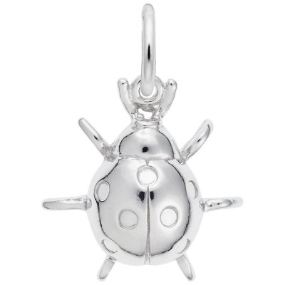 Lady Bug