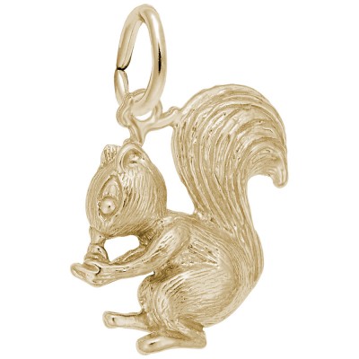 Squirrel
