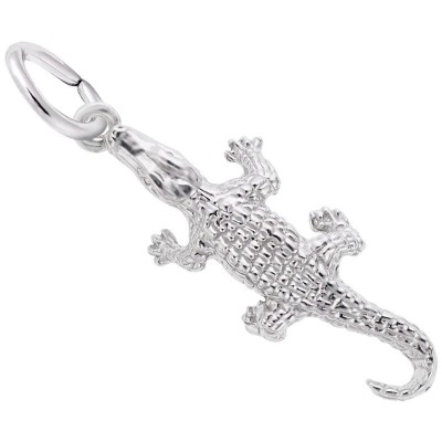 Alligator