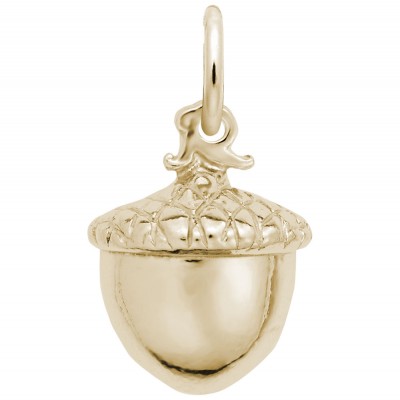 Acorn