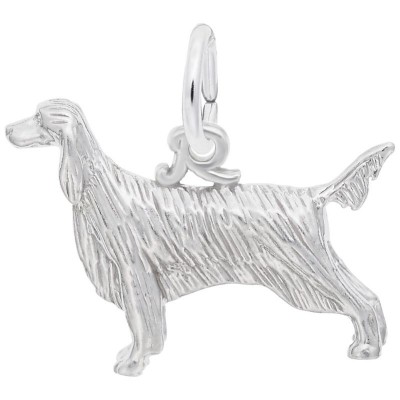 Irish Setter