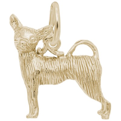 Chihuahua