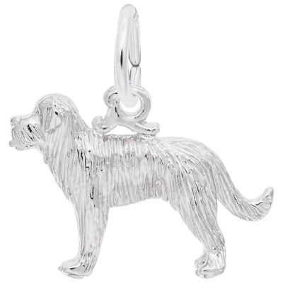 St Bernard