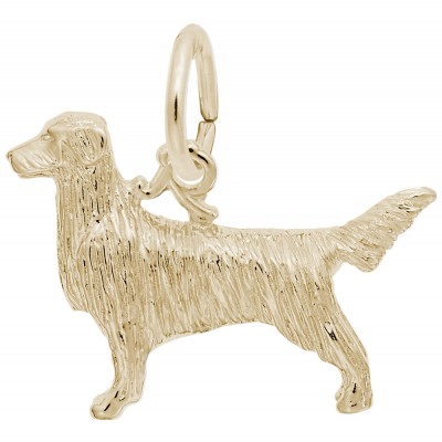 Retriever