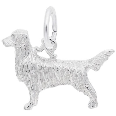 Retriever