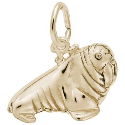 Walrus