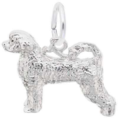 Portuguese Water Dog