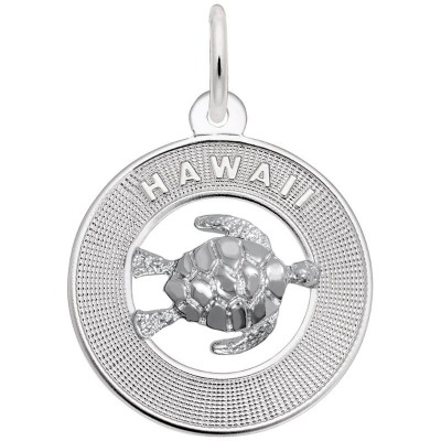 HAWAII W/TURTLE