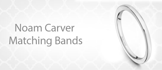 Noam Carver Matching Bands