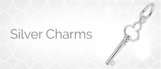 Silver Charms