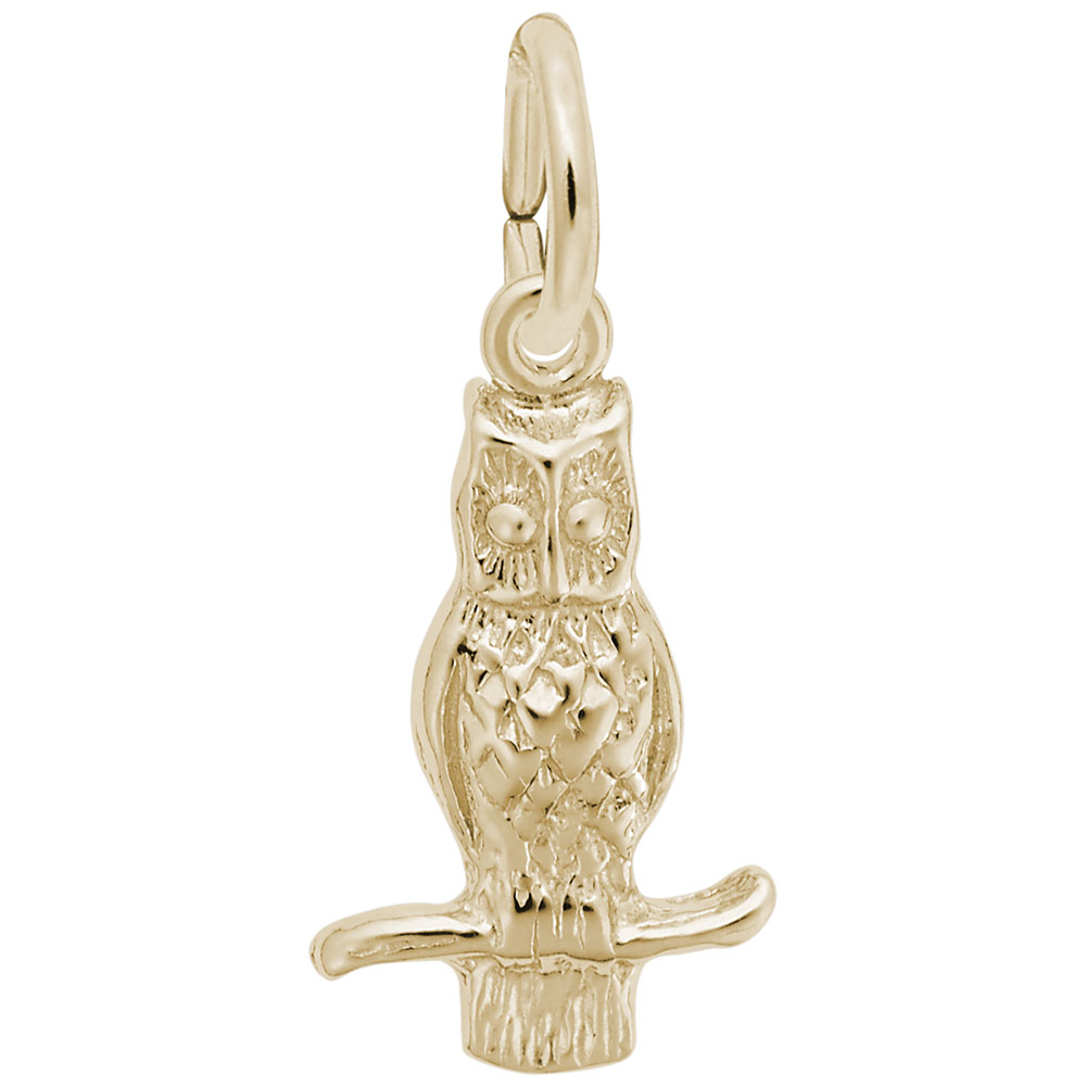 Owl