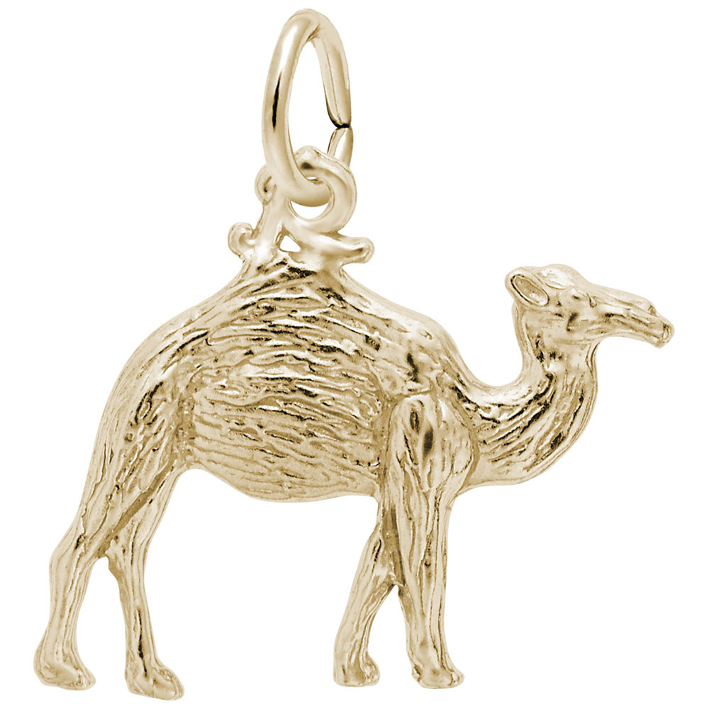 Camel